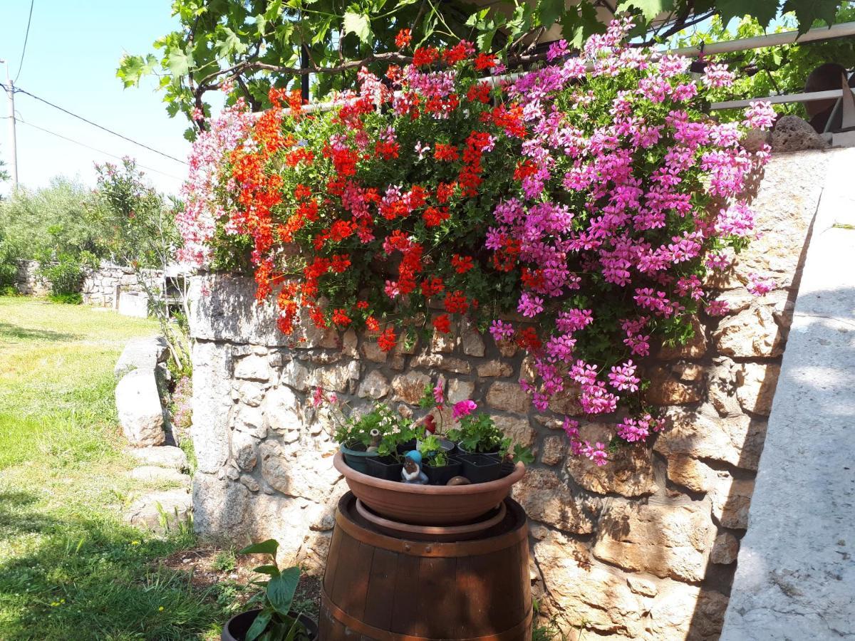 Apartments Sabina I Grapes Malinska Εξωτερικό φωτογραφία